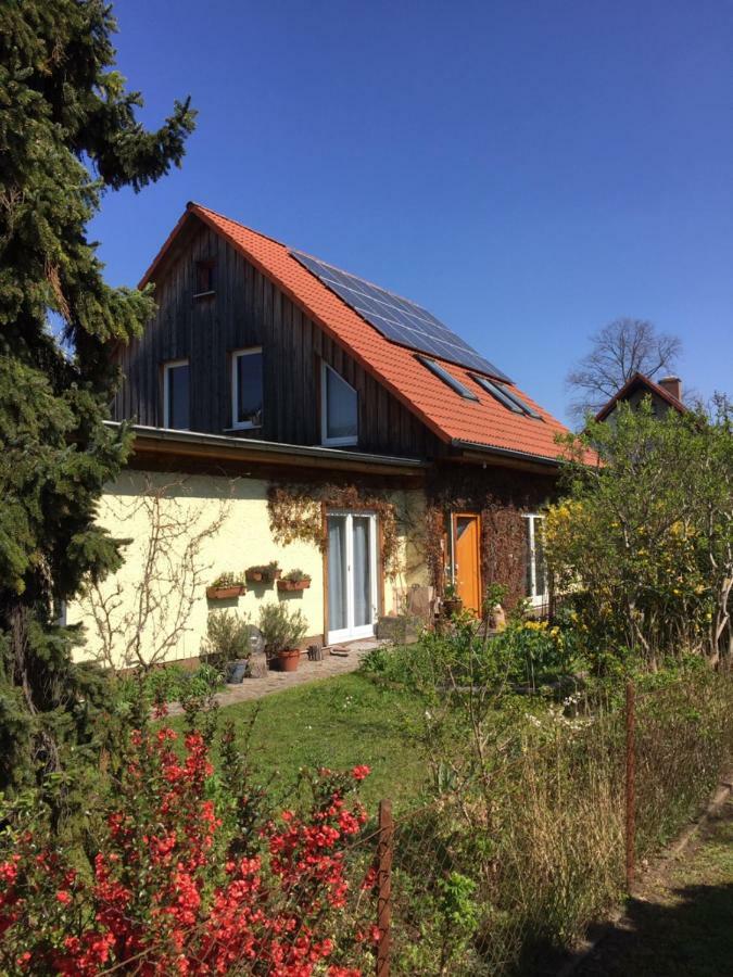 Nice Room In Green Pankow District ベルリン エクステリア 写真